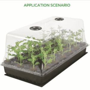 Narrow Budget Large Propagator with Humidity Dome & LED Lights – Seedling & Cloning Tray